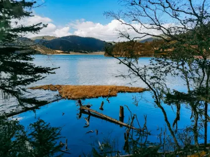 WagonBet Casino Mobile App